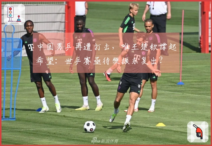 中国男乒再遭打击，唯王楚钦撑起希望：世乒赛亟待樊振东复出？